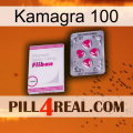 Kamagra 100 32